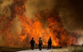 加州櫻桃谷地區發生野火。（圖源：AP）
