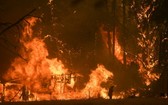 澳大利亞新州政府已接受對去年夏天林火災害進行調查後提出的全部76項建議。（圖源：AAP）