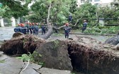 職能力量在清理一棵被颱風刮倒的街邊綠樹。（圖源：進成）