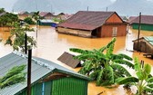 廣平省廣寧縣上千住房被淹沒在洪水中。（圖源：范長）