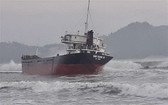 觸礁擱淺的“南慶號”貨船。