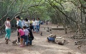 遊客在芹耶紅樹林猴子島遊覽。（圖源：T.C.L）