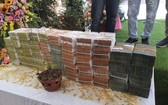 本月18日，在廣寧省東朝市毛溪坊已展開“玉山雀”基因變異蘭花交易，價格高達2500億元。（圖源：泰平）