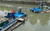 市都市環境一成員有限責任公司的工人在饒祿-氏藝涌打撈死魚。