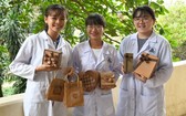 鄭玉雲英、張武錦慶、黎氏碧鳳與她們利用香蕉樹幹製作的產品。