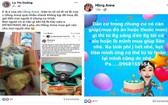阮氏紅蓉與羅氏養在社交網站上刊登關於代為購物的內容。(截屏圖片)