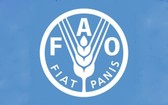 聯合國糧農組織(FAO)推特截圖