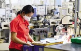 位於和平省的越南R Technical公司生產透鏡一瞥。