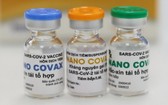 國產疫苗Nano Covax。（圖源：海阮）