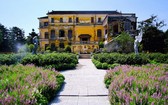 在順化市安定宮搭建的白茶園是《剩女伎倆多５》的主要背景。如今已成為多人前往的旅遊景點。