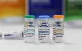 國產新冠疫苗 Nano Covax。（圖源：慶元） 