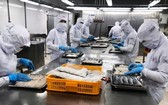中山食品股份公司的食品加工廠於 8月21日復工復產，但產能比疫情前大幅下降了九成。（圖源：安芳）