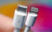 USB-C(左)與Lightning介面。（圖源：互聯網）