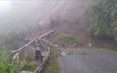 途徑萊州省芒齊縣南靠鄉茴薩村的4H號國道路段發生山體滑坡，導致交通中斷。（圖源：越通社）