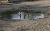 印度乾旱導致湖泊規模縮減。（圖源：互聯網）
