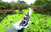 遊客坐船遊覽茶師白千層森林。