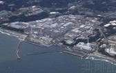 圖為東京電力公司福島第一核電站。（圖：共同社）
