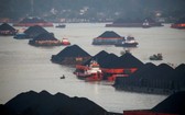 圖為在印尼東加里曼丹省三馬林達，煤駁船在馬哈卡姆河上排隊等候拉船的檔案照。（圖：路透社）