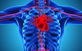 新研究揭示新冠病毒如何影響心臟