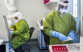 世界衛生組織正在幫助各國提高對新冠病毒的檢測能力。（圖：WHO）