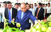阮春福總理參觀新農村產品。