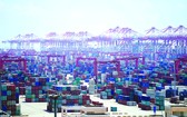 多國港口禁止印度船員換班船舶入港。