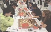 2017年HD銀行盃國際象棋公開賽一瞥。