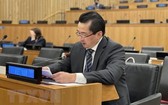 越南駐聯合國代表團副團長範海英大使。圖 : 越通社