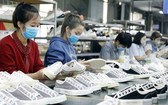 越南某公司出口鞋類生產線。