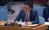 越南駐聯合國代表團團長鄧黃江大使。