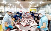 越南查魚外銷許多市場。