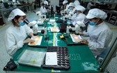 平陽省勞工在生產電子產品。
