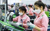 在北寧省的越南三星工廠生產線。