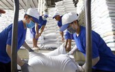 工人搬運大米。