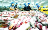 越南查魚外銷多國市場。