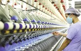 紡織品成衣企業加強生產活動。