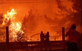 “火災天氣”是指天氣條件有利於野火的發生和蔓延。圖源：互聯網
