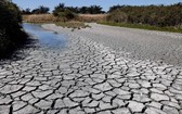 今年8月法國努瓦穆蒂埃島當地河床乾涸裂開。