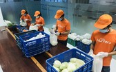 平仙公司員工在包裝農產品以售給顧客。