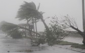 出現颱風與熱帶旋風危機增一倍