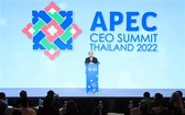 國家主席阮春福在2022年亞太經合組織工商峰會上發表講話。