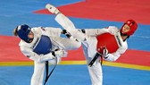Taekwondo là một trong những môn được kỳ vọng sẽ giành suất dự Olympic của TTVN.