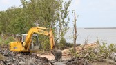 Xử lý sạt lở bảo vệ đai rừng phòng hộ đê biển Tây