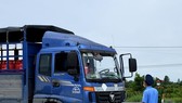 UBND tỉnh Cà Mau cho biết lái xe phải được kiểm tra y tế chặt chẽ trước khi vào tỉnh. ẢNH: N.T.