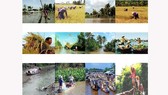 Thành lập Hội đồng điều phối phát triển vùng ĐBSCL