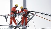 Không tăng giá điện, tiếp tục giảm giá thịt heo