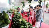 Gian hàng giới thiệu trái bơ Tây Nguyên