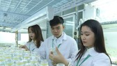 Sinh viên Đại học Nông nghiệp. Ảnh: QUANG PHÚC