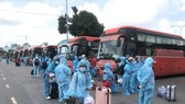 Đưa 600 người dân Phú Yên tại TPHCM về quê tránh dịch. Ảnh: QUỐC HÙNG