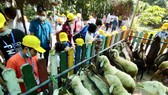 Các em học sinh thích thú tham quan thú nuôi tại Thảo cầm Viên ngày 26-12